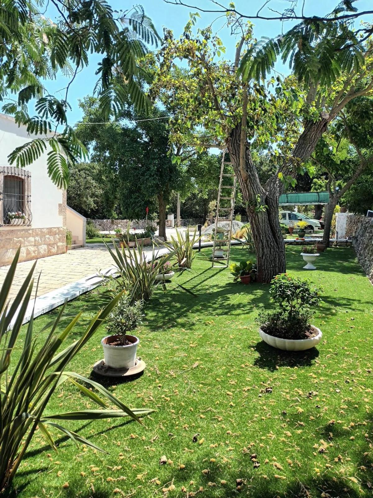 Trulli Allegretti Noci Dış mekan fotoğraf